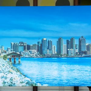 Americas Finest City on Canvas Americas Finest City on Canvas