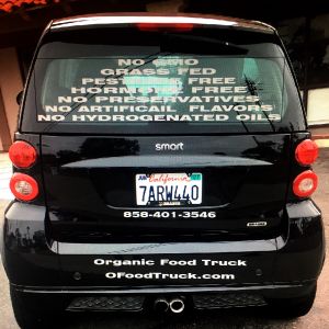 Back Window Branding 1