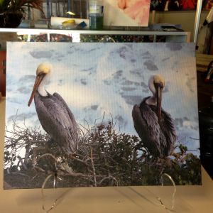 Canvas Applied to 6mm PVC Canvas Applied to 6mm PVC