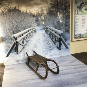 Floor and Wall Graphics
