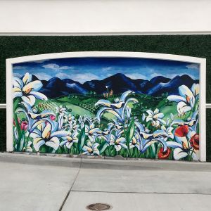 Pacific Highlands 2