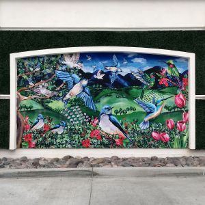 Pacific Highlands 6