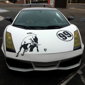 Partial Wrap Plotted Vinyl
