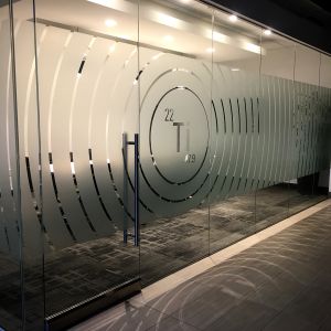 Plotted Frosted Vinyl 3