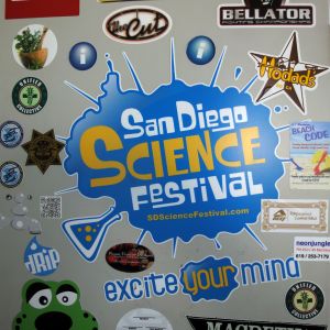 Plotted Vinyl Stickers 1