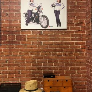 Printed Brick and Stretched Canvas