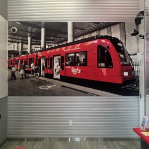 Printed Vinyl Wall Mural