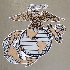 Printed and Plotted Vinyl 1