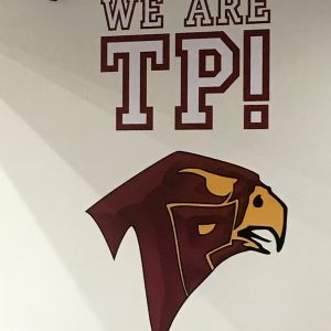 Printed and Plotted Wall Graphics