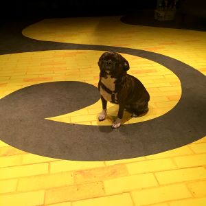 Temporary Dance Floor Graphic