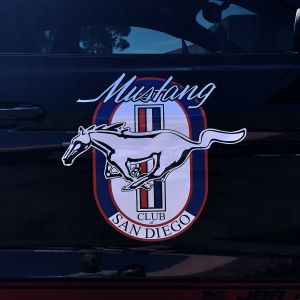 Vehicle Magnet Cut to Shape