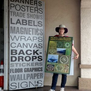 Walking Billboard Coroplast