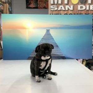 canvas art looks 3D canvas art looks 3D