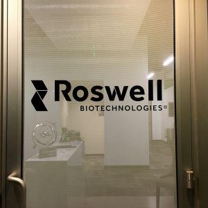 perforated vinyl with applied logo